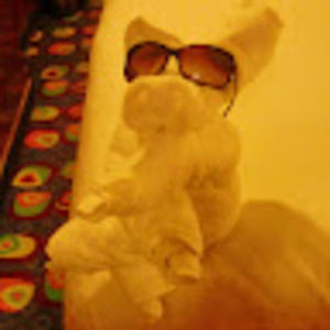 Meet your Posher, Sheryl